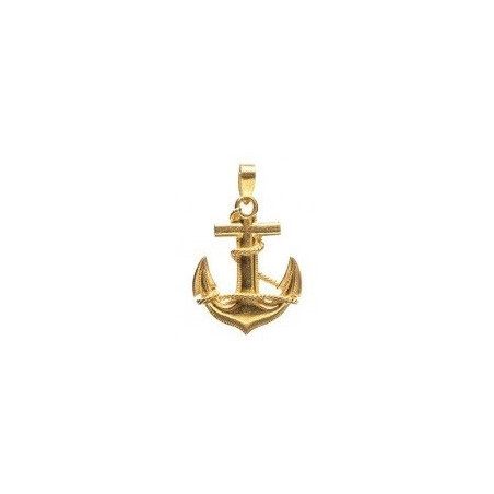 Gouden Surinaamse anker hanger | Surinaams goud | 18 karaat Surinaams goud
