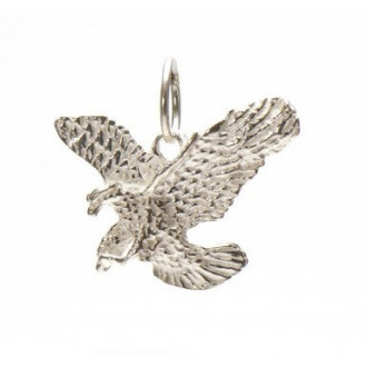 Surinaamse adelaar hanger | Surinaamse juwelier