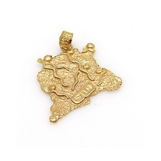 Gouden Surinaamse landkaart hanger | Surinaams goud