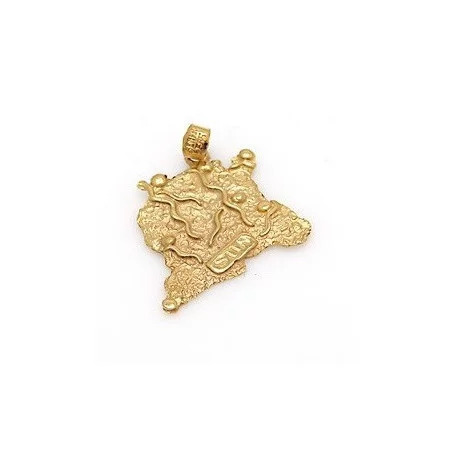 Gouden Surinaamse landkaart hanger | Surinaams goud