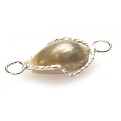 Surinaamse pa moni | Surinaamse schelp