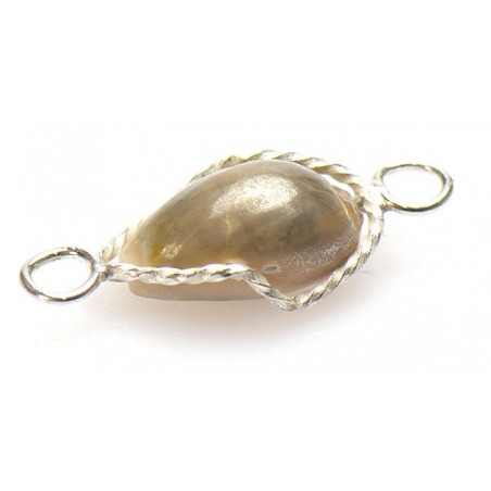 Surinaamse pa moni | Surinaamse schelp